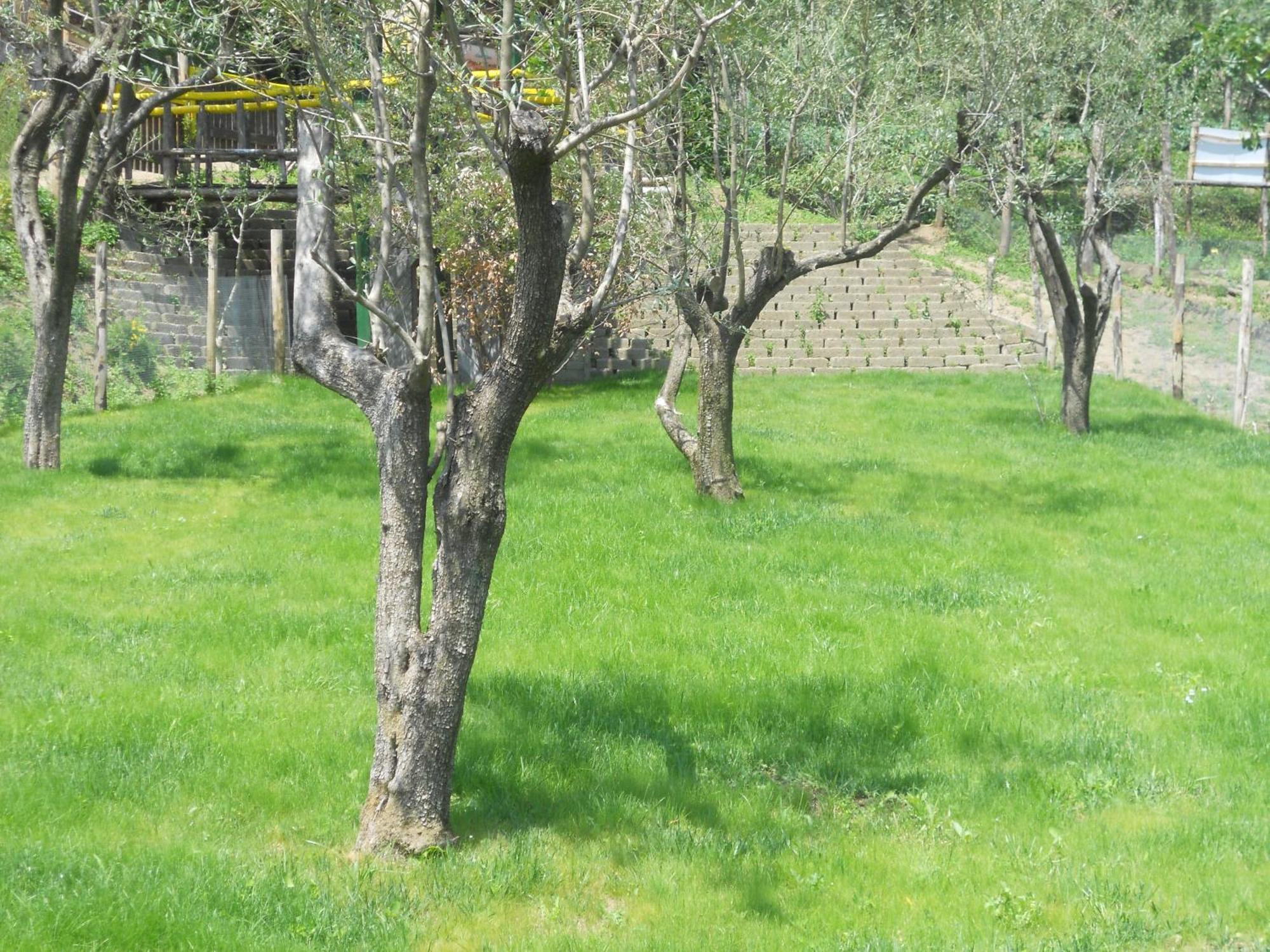 Agriturismo La Casa Del Ghiro ピモンテ エクステリア 写真